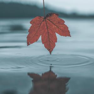 XXXX48🍆🍆🍆HD
